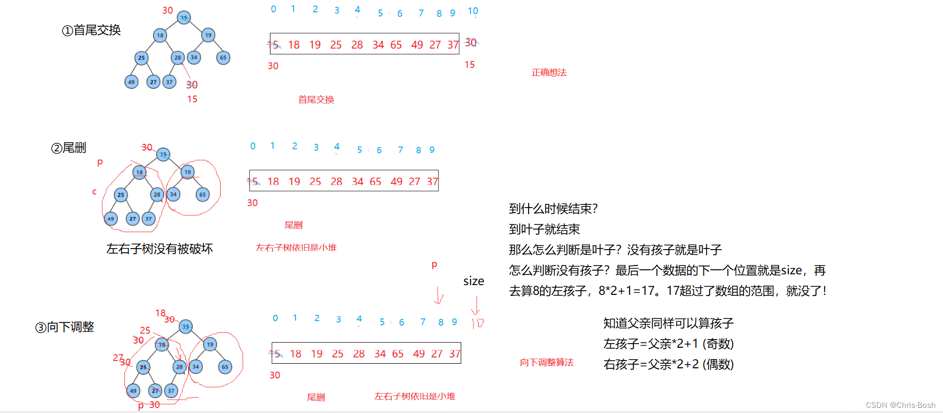 C语言数据结构-----二叉树(1)认识数、二叉树、堆及堆的代码实现