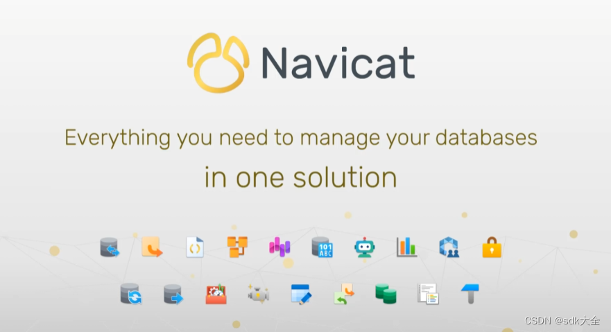 Navicat Premium 16.3.3 Win Crack