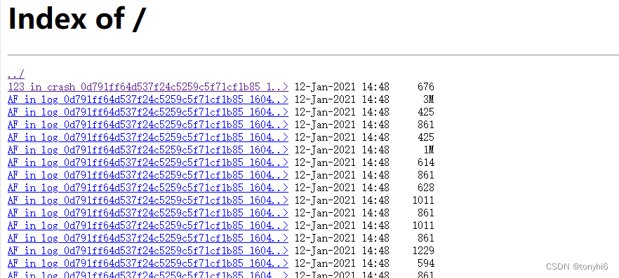 Nginx(openresty) 开启目录浏览 以及进行美化配置