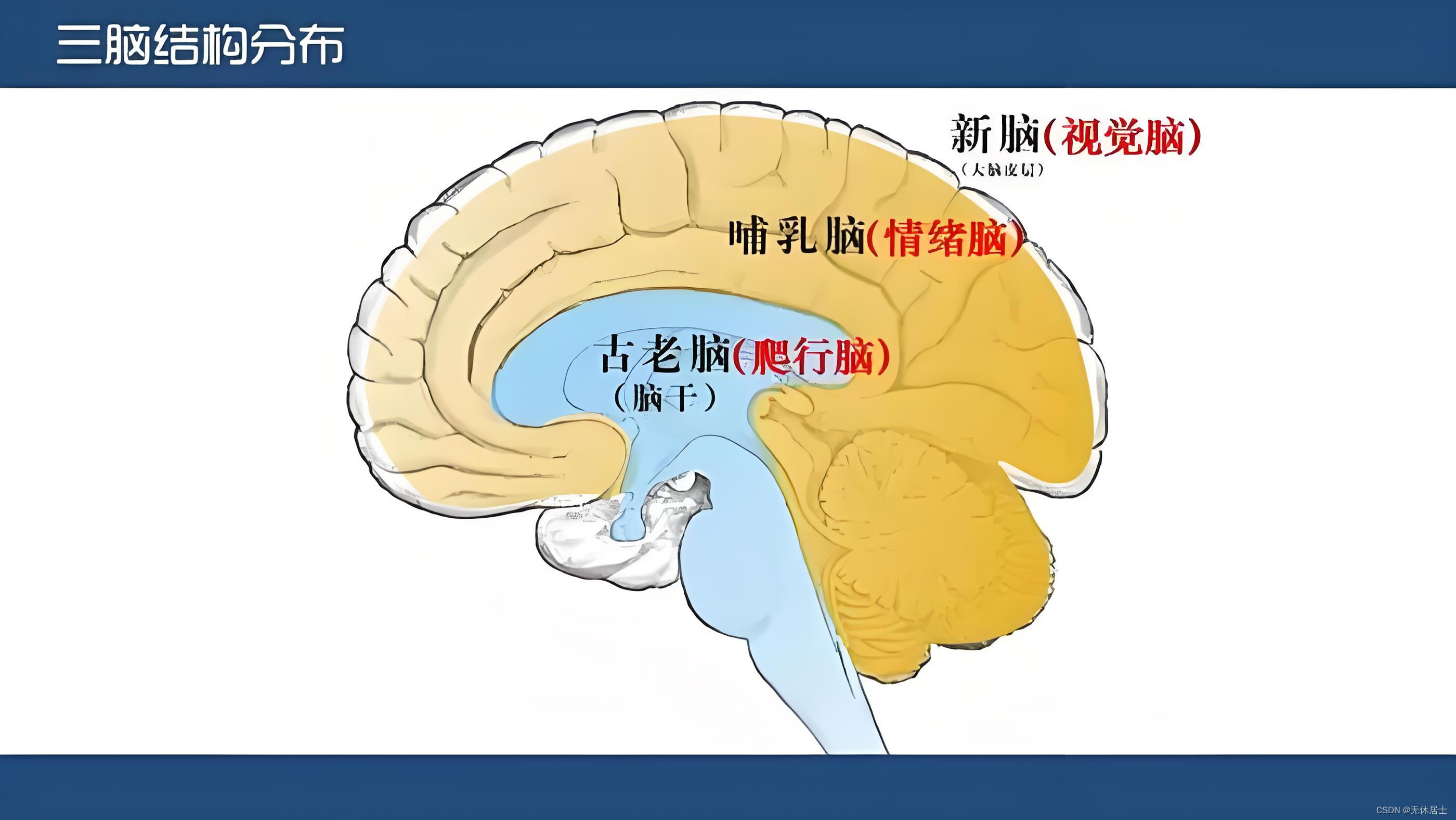 【管理篇】如何管理情绪？