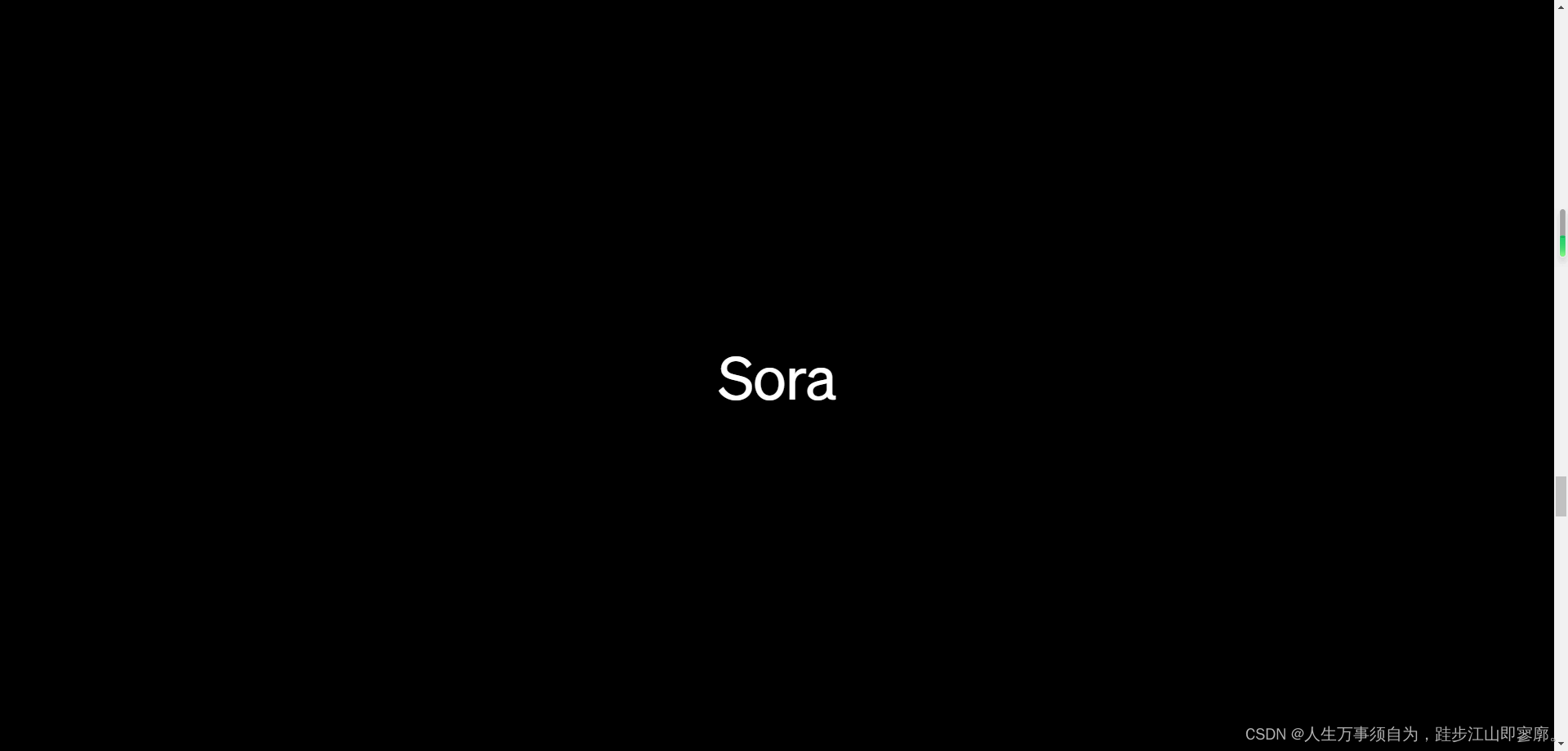 Sora：AI视频模型的革新者