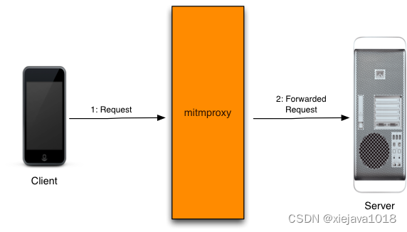 mitmproxy代理工作原理