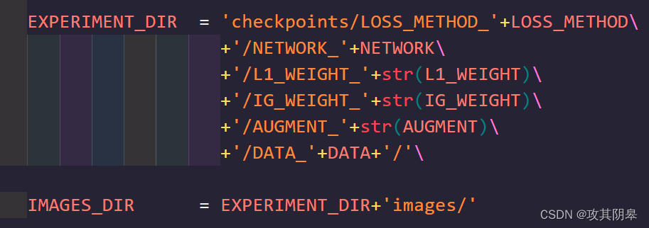 存放cheeckpoint和结果保存的路径