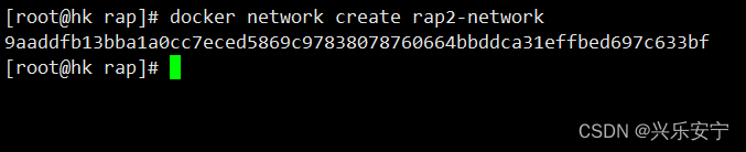 Docker 部署RAP2