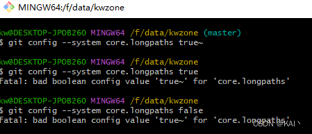 【Git】fatal: bad boolean config value ‘true~‘ for ‘core.longpaths‘