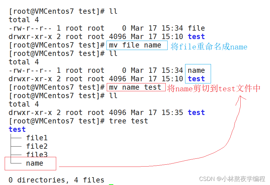 【Linux系统编程】第三弹---基本指令(一)