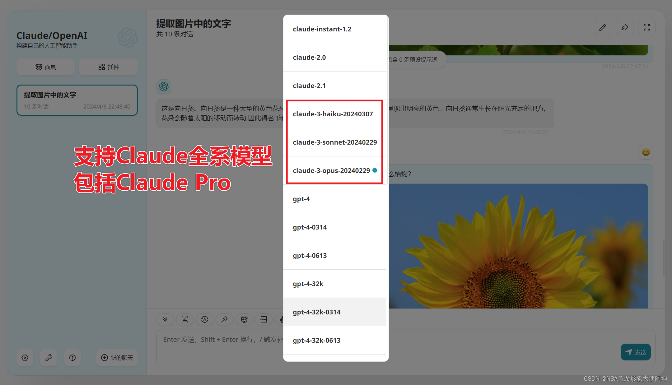 【最新可用】Claude国内镜像,可上传图片,可用Claude3全系模型(包括Pro版本的Opus)!亲测比GPT好用!