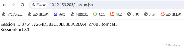 Tomcat session复制及session共享技术