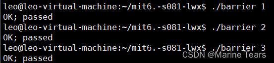 MIT 6.S081---Lab: Multithreading