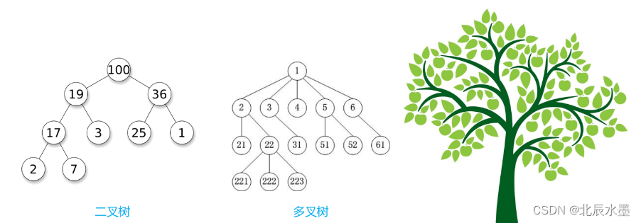 数据结构--二叉树（超详细）