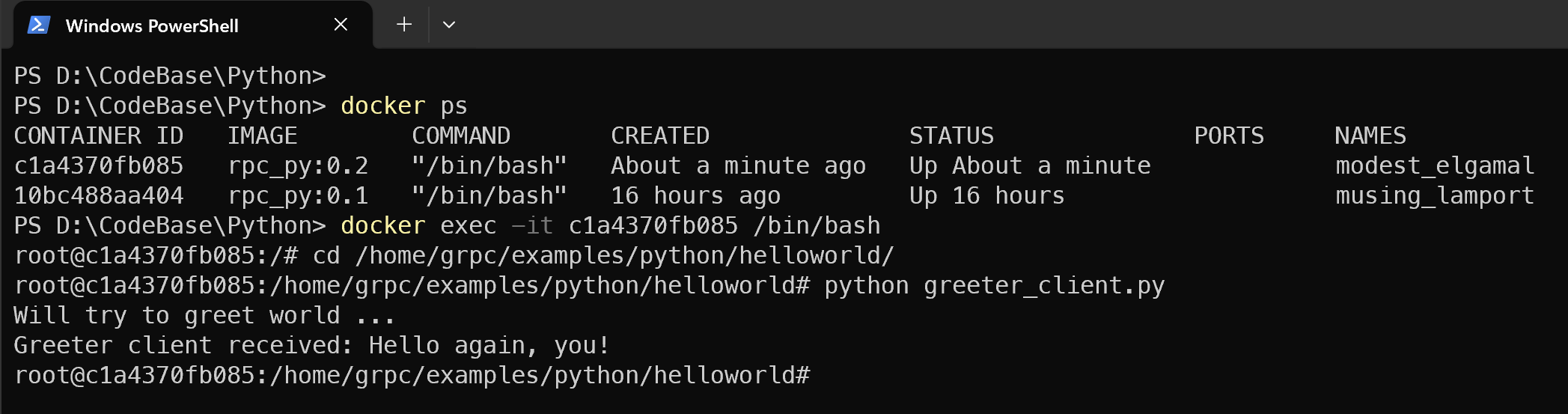 基于 Docker 的 python grpc quickstart