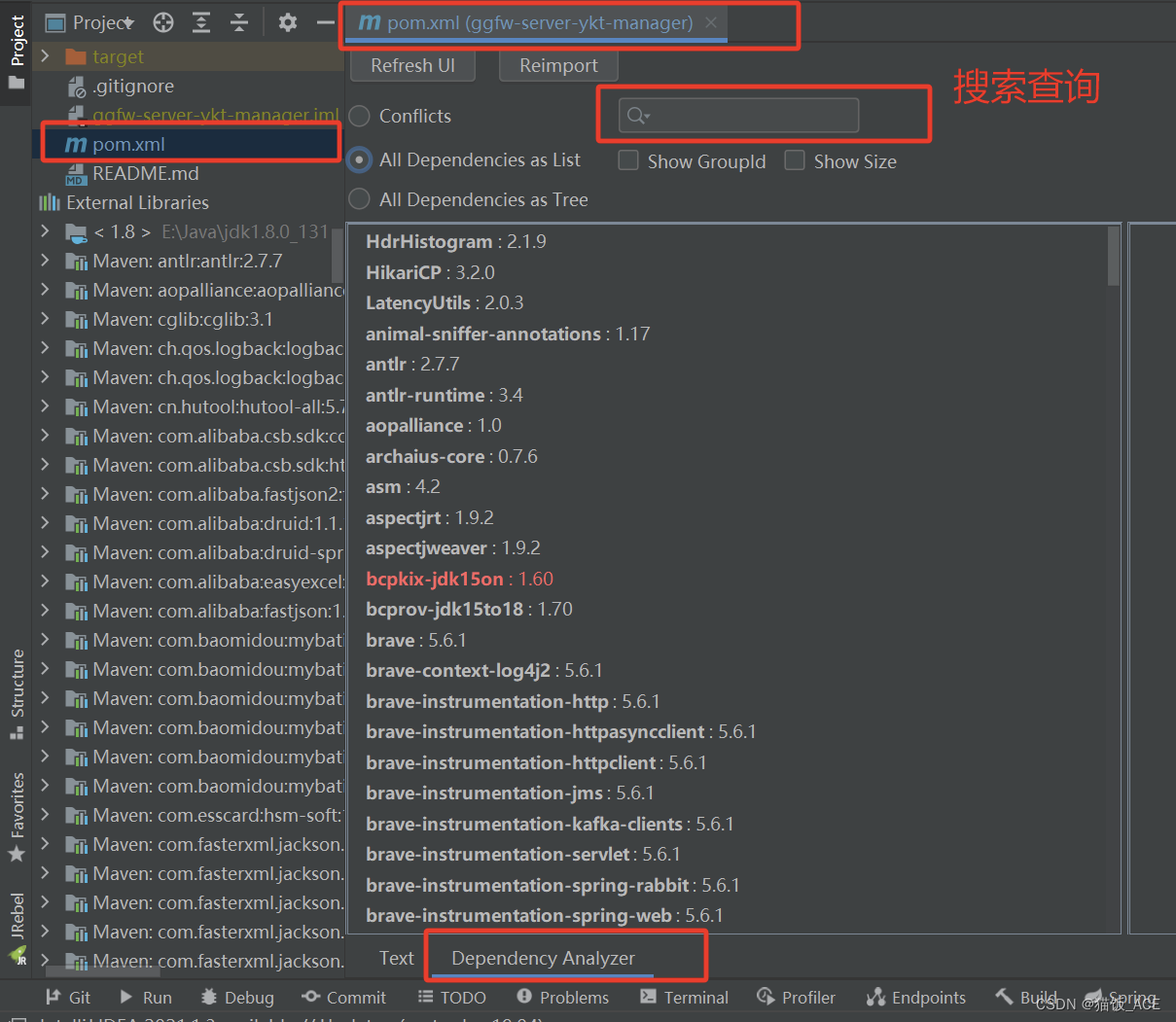 【Idea】SpringBoot项目中，jar包引用冲突异常的排查 / SM2算法中使用bcprov-jdk15to18的报错冲突问题