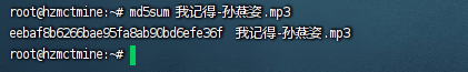 win中查看MD5、Linux中查看MD5