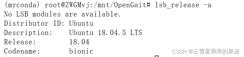 矩池云jupyter运行opengait代码 未完成版