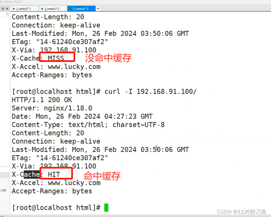 nginx（三）重写功能 防盗链 方向代理 等