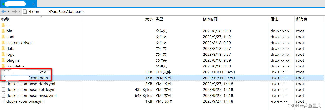 报表工具DataEase技术方案（一）