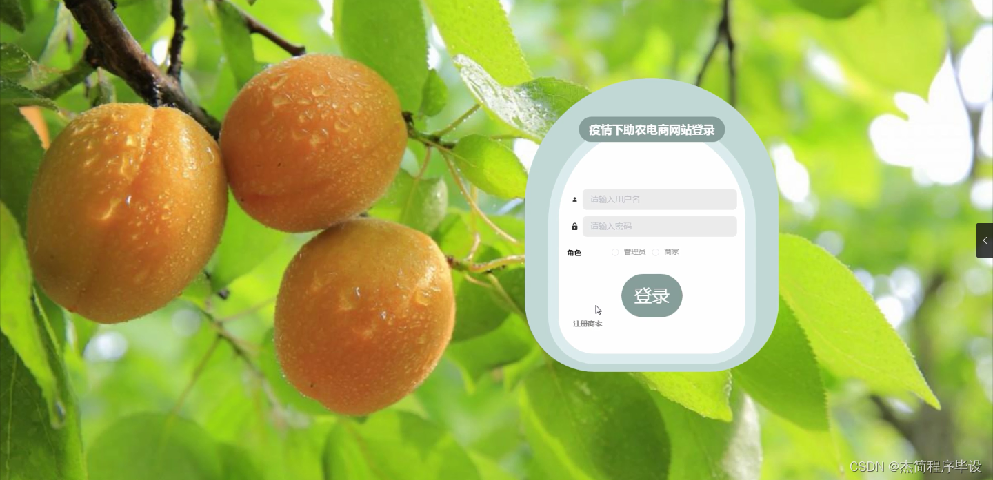 附源码java计算机毕业设计疫情下助农电商网站springbootmysql开题