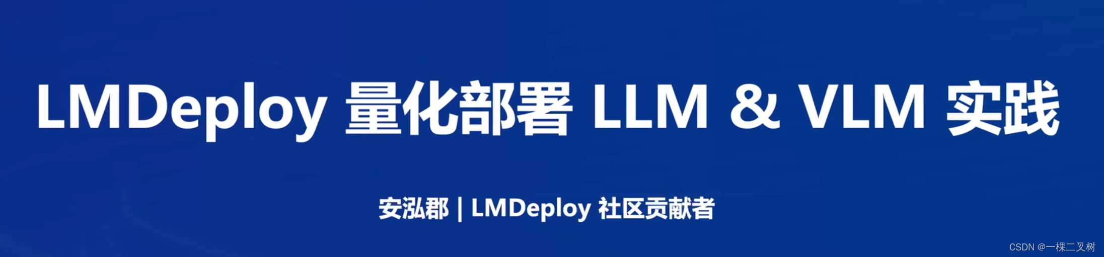 LMDeploy量化部署LLM&<span style='color:red;'>VLM</span><span style='color:red;'>实践</span>-笔记五