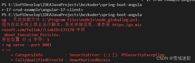 ng命令运行报错