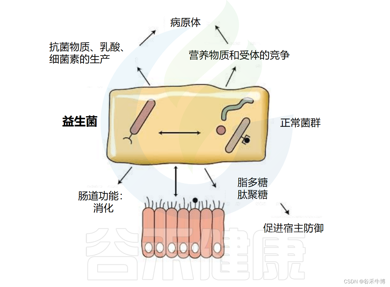 益生菌不一定全是“益”，也存在一定的安全风险