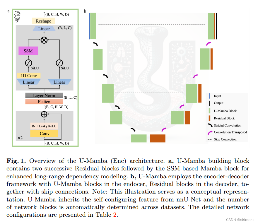 U-Mamba: Enhancing Long-range Dependency for Biomedical Image Segmentation