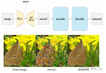 fig1