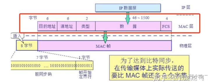 学习笔记19——计算机网络八股大厂面试知识点整理