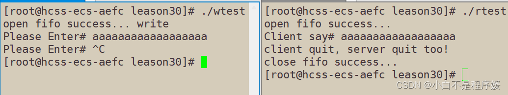 【Linux系统化学习】深入理解匿名管道(pipe)和命名管道(fifo)