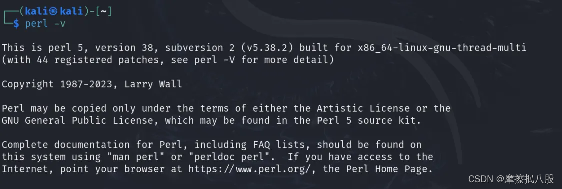 在Linux kali下载、安装Perl环境