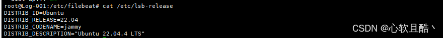 <span style='color:red;'>ubuntu</span>22.04<span style='color:red;'>服务器</span>docker-compose方式<span style='color:red;'>部署</span>ldap<span style='color:red;'>服务</span>