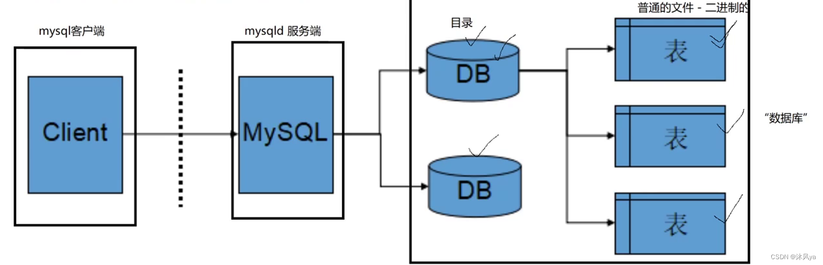 数据库关系图,如何连接mysql,编码集和校验集,创建/删除/选择/修改/备份/恢复数据库,数据库本质,查看数据库连接