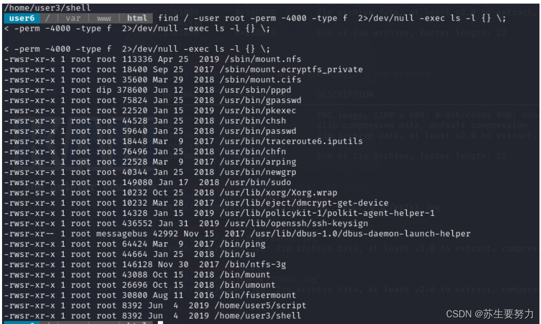 escalatelinux2利用suid提权