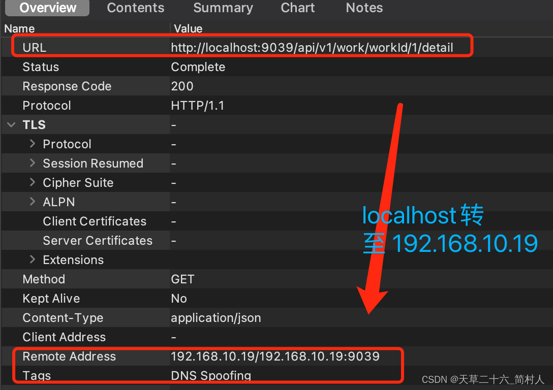 Charles抓包工具系列文章（五）-- DNS spoofing (DNS域名伪装)