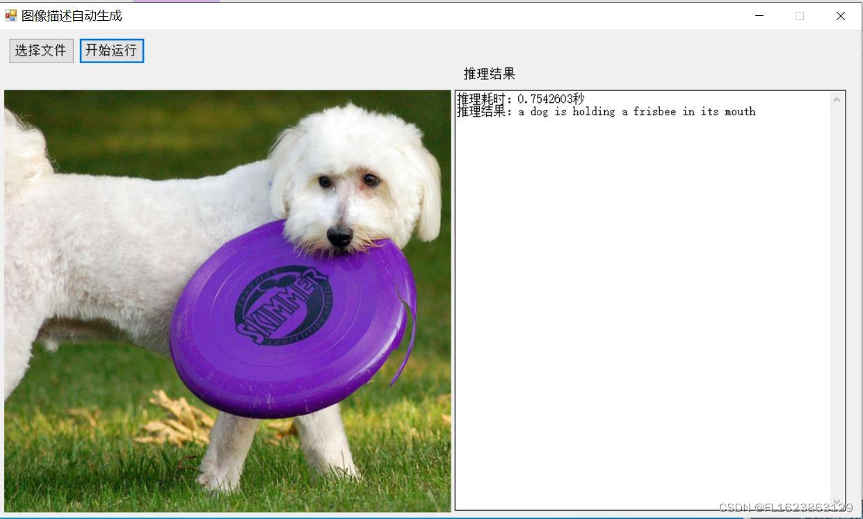 [C#]C# winform实现imagecaption图像生成描述图文描述生成