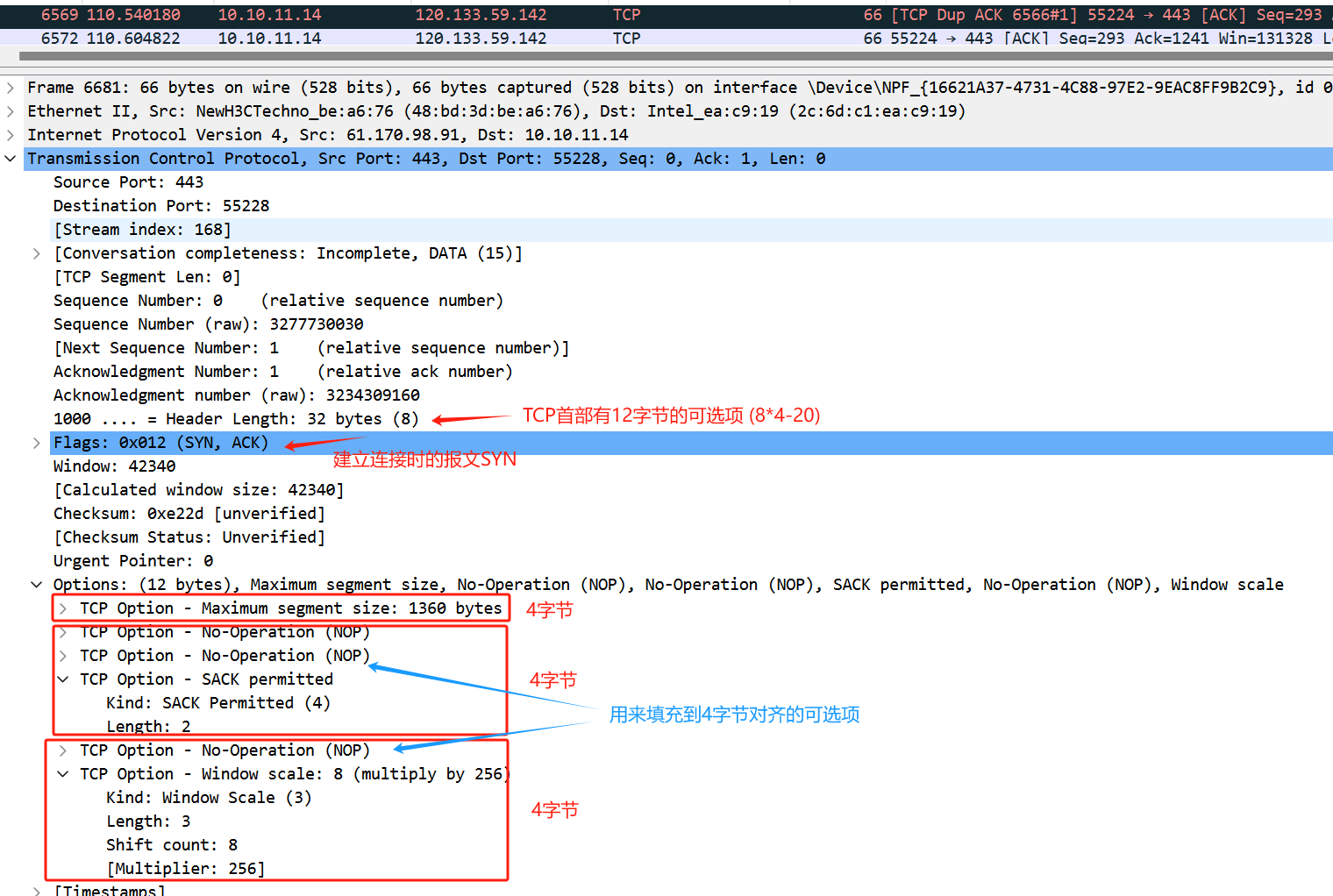 Linux网络编程: TCP协议首部与可选项简述