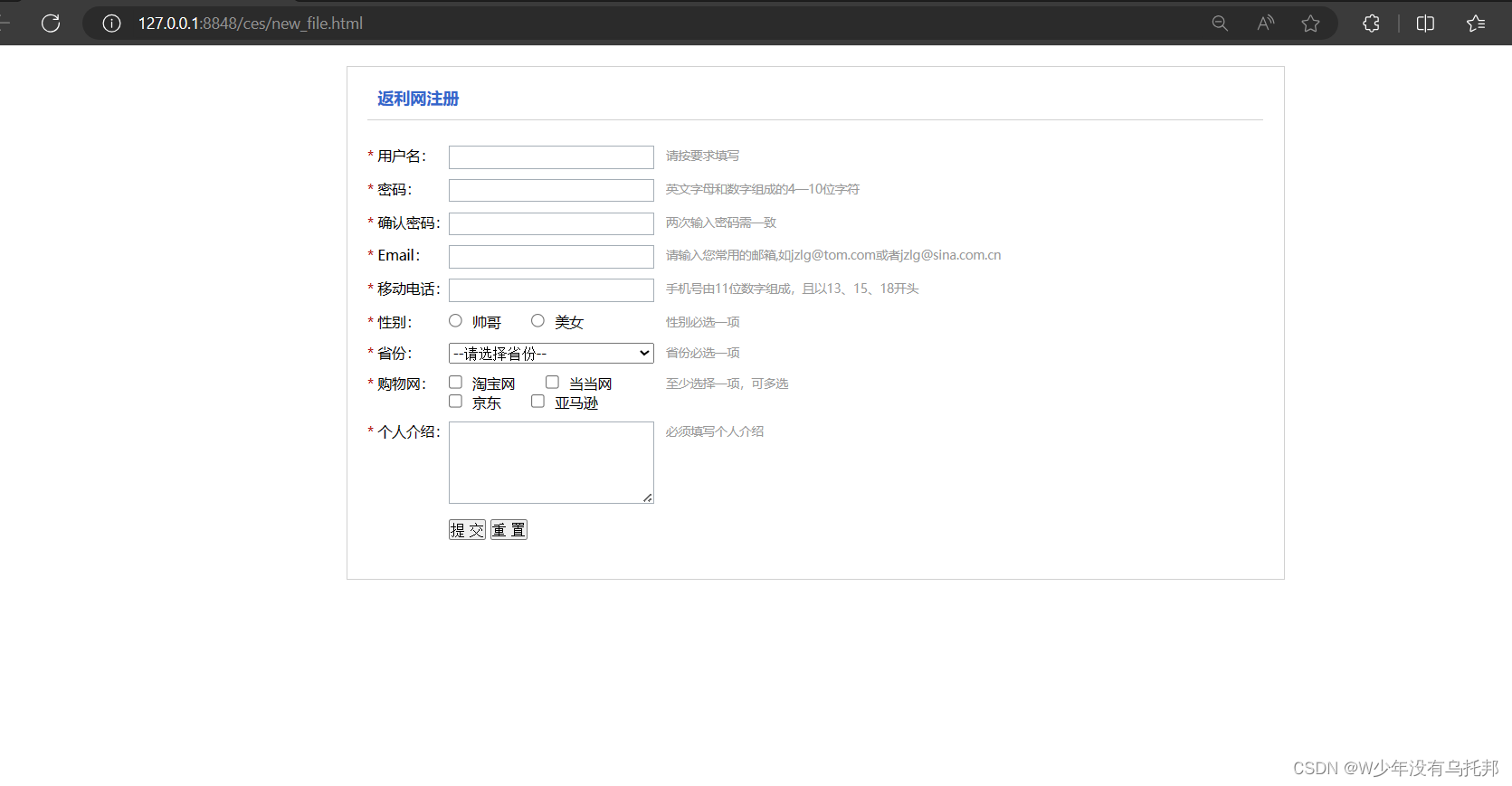 JS实现返利网注册系统（网页数据验证）