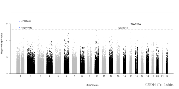 Genome-wide association studies in R