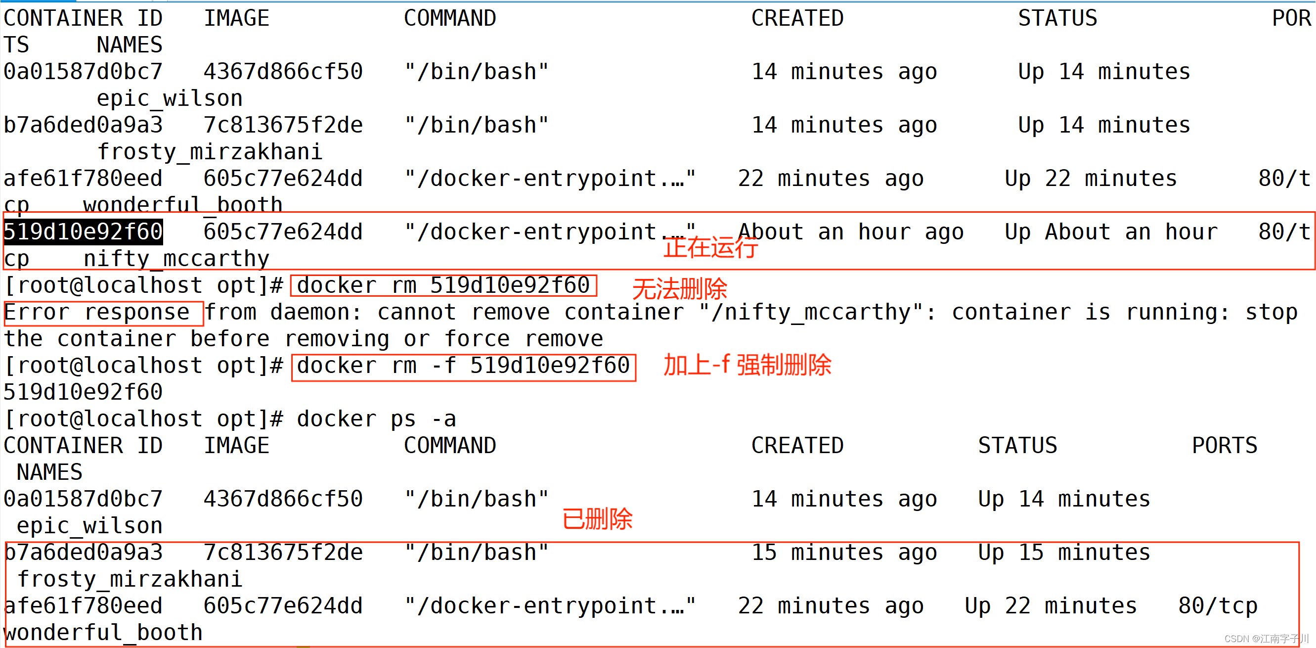 Docker容器基本管理