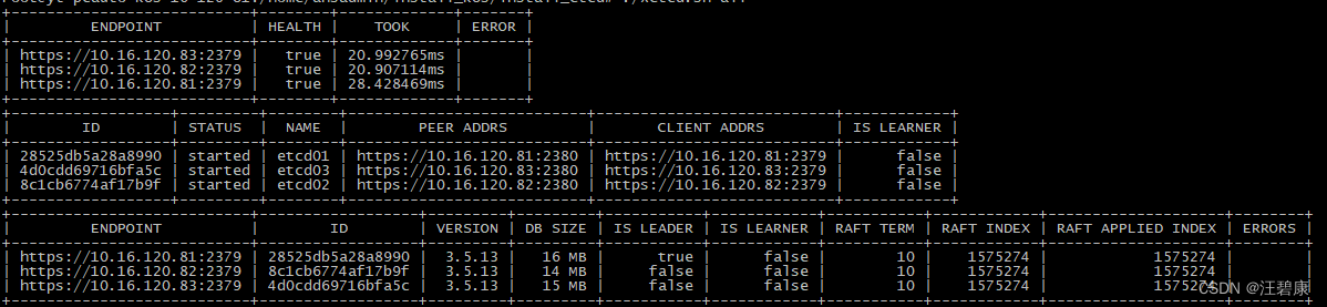 【二进制部署k8s-1.29.4】三、etcd集群的安装配置