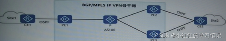 HCIP-Datacom-ARST自选题库__BGP/MPLS IP VPN判断【10道题】