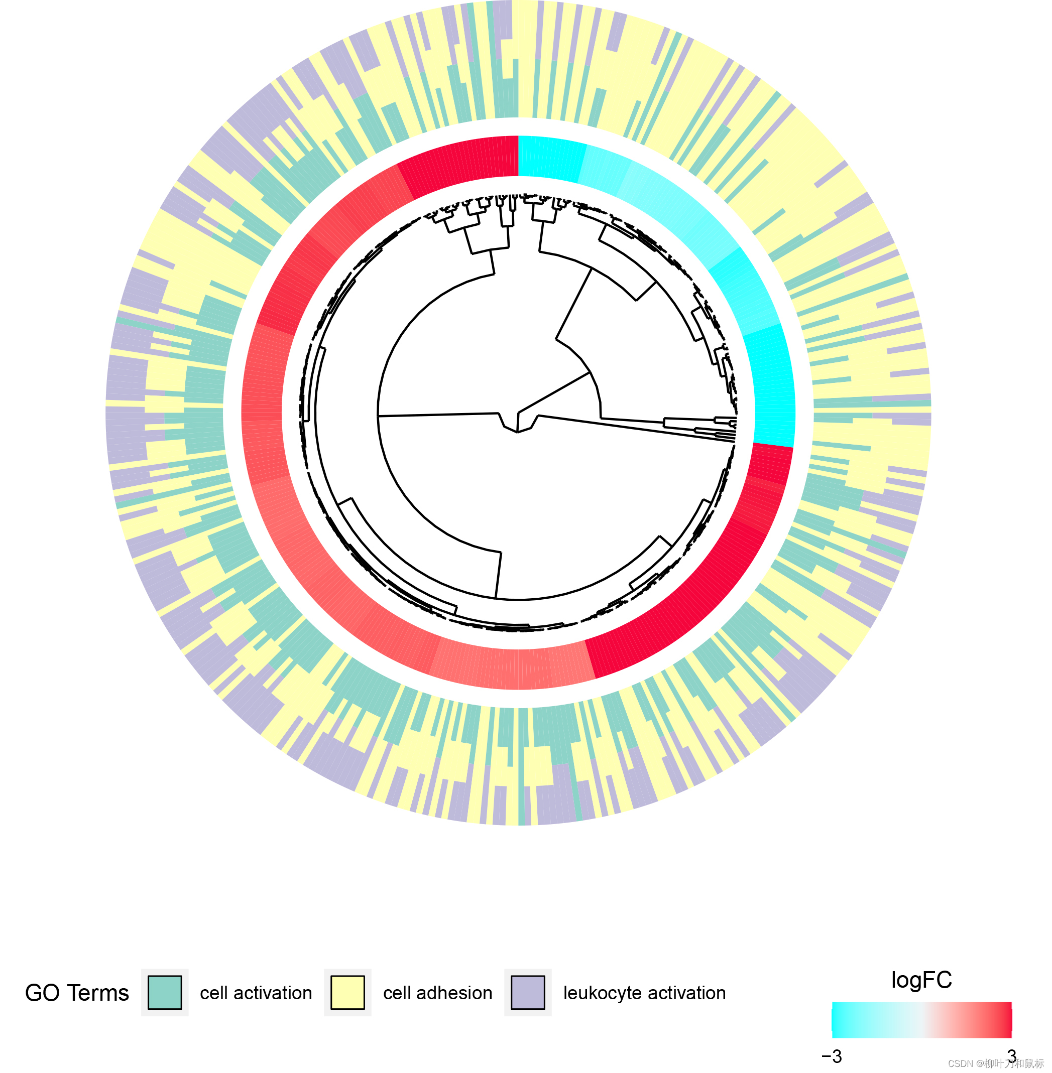 基础生信分析富集分析2