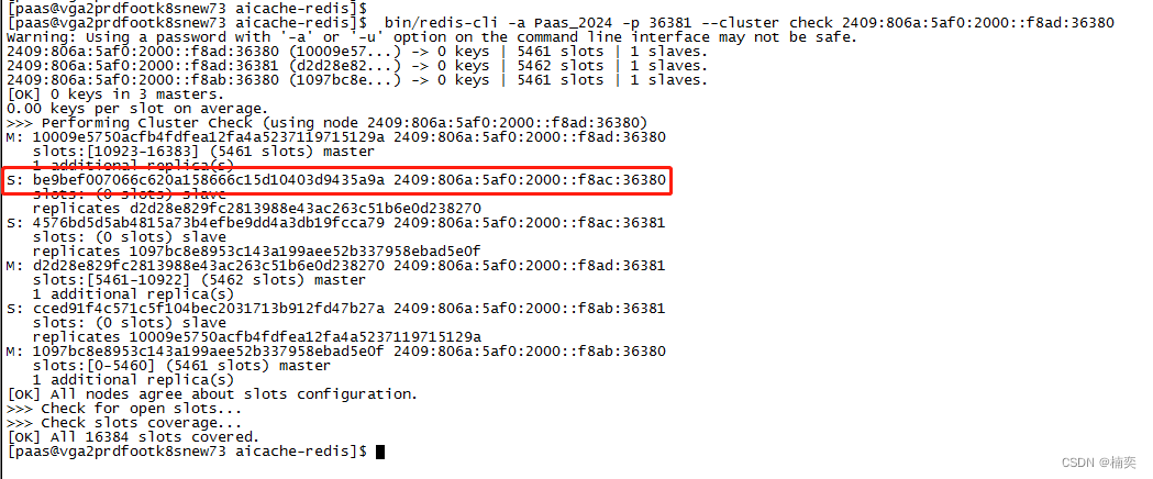 linux redis-cluster ipv6方式