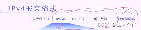 网络工程师笔记12