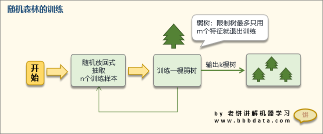 随机森林训练流程