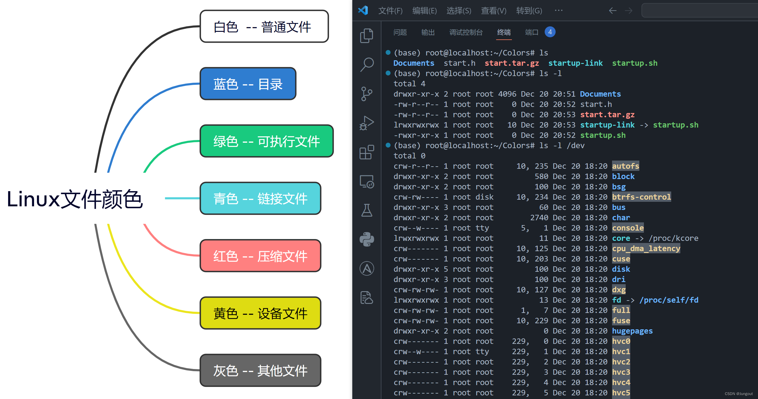 Linux操作系统基础(06)：Linux的文件类型和颜色