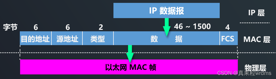 【网络编程开发】8.TCP连接管理与UDP协议 9.IP协议与ethernet协议