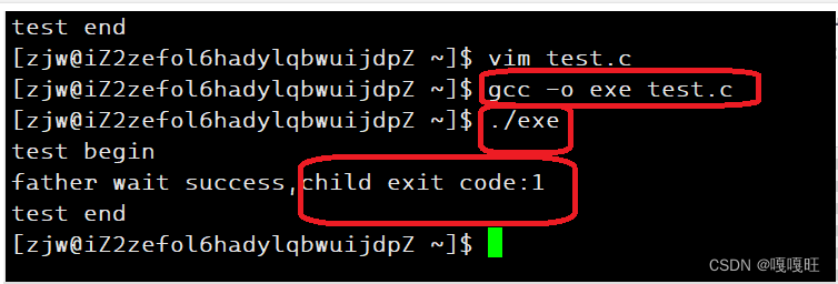 【linux】进程替换，Linux进程替换详解，Linux进程替换详解与操作指南，Linux进程替换详解及操作指南 第3张