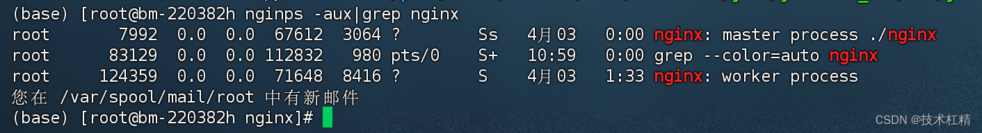 Linux查看某一个程序的安装路径