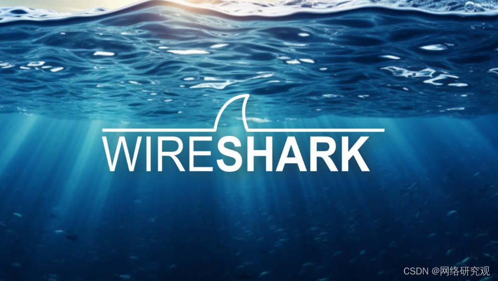 Wireshark 4.2.5：发现 QUIC 和 VXLAN 协议的新功能