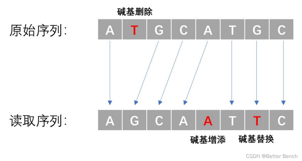 【2023年中国高校大数据挑战赛 】赛题 B DNA 存储中的序列聚类与比对 Python实现